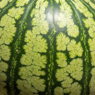 Imagen PNG para descargar